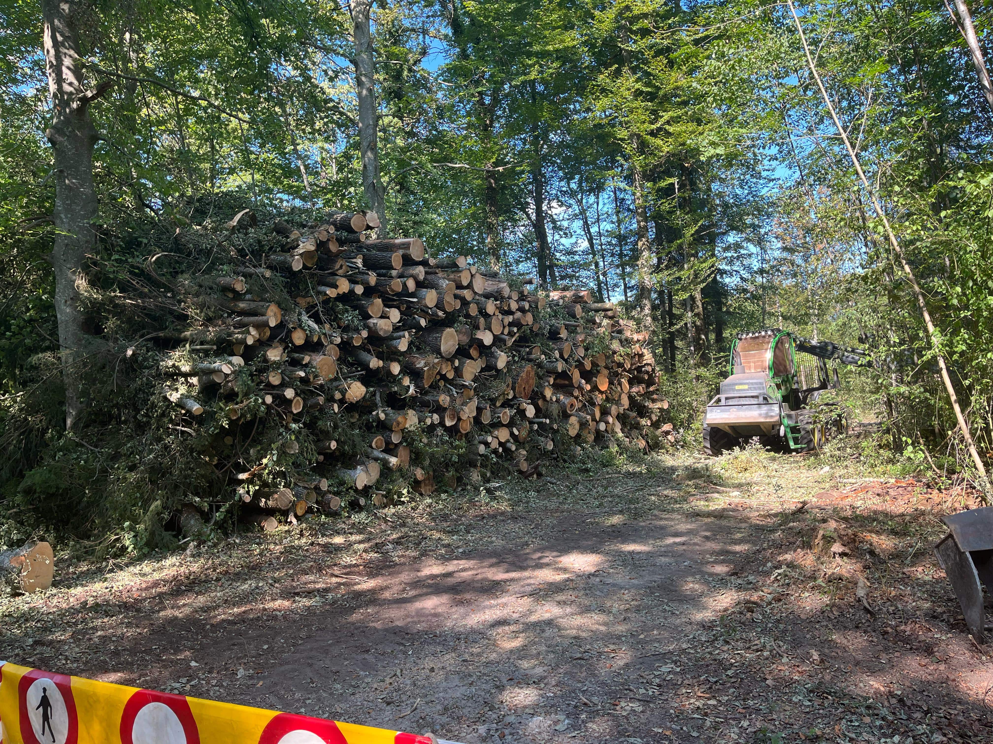 Débardage de bois dans le Jura — SAS POLYVIER